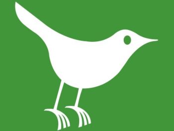 Blackbird Clinical logo
