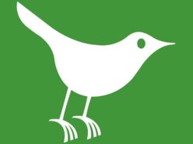 Blackbird Clinical logo